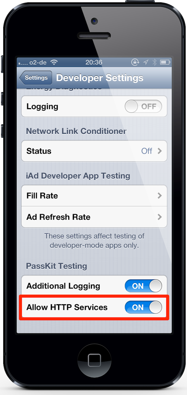 Developer Settings on an iPhone