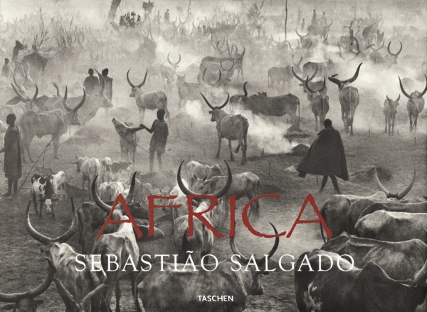 Book cover: Africa