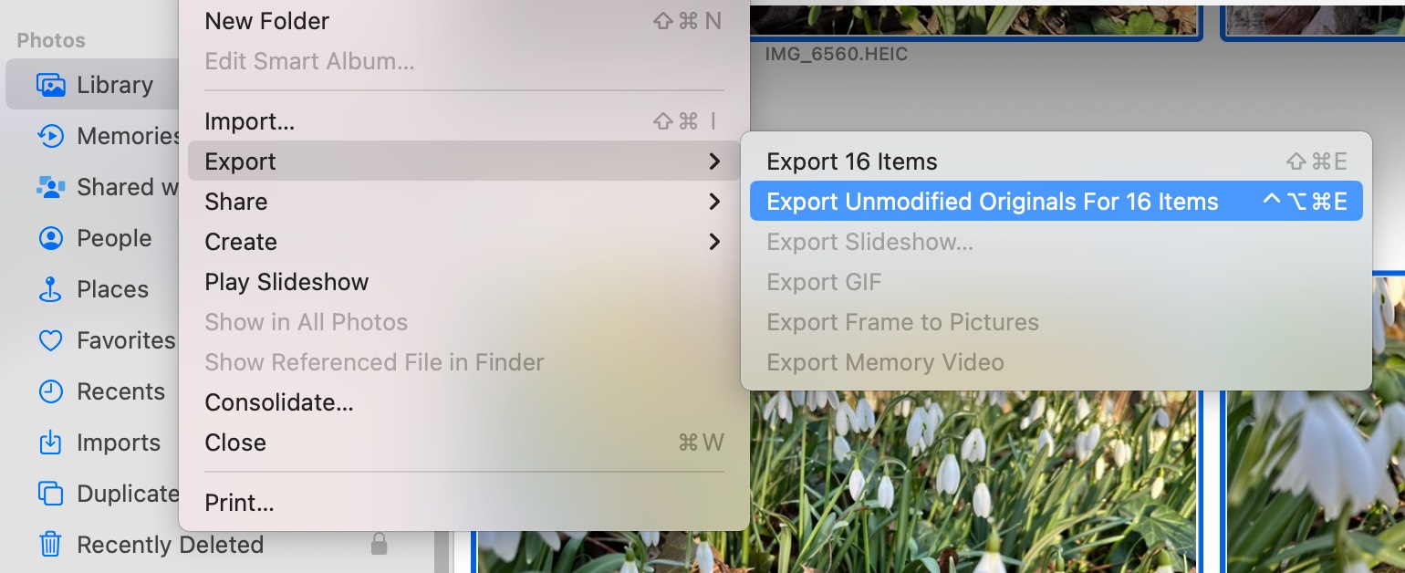Screenshot of the File > Export submenu of the Photos app on macOS. The selected menu command is called 'Export Unmodified Originals For 16 Items'
